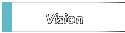 Vision