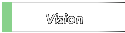 Vision