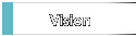 Vision